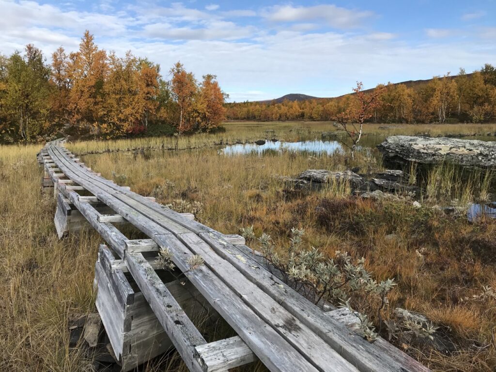 Elevated boardwalk through marshlands — Photo by author.