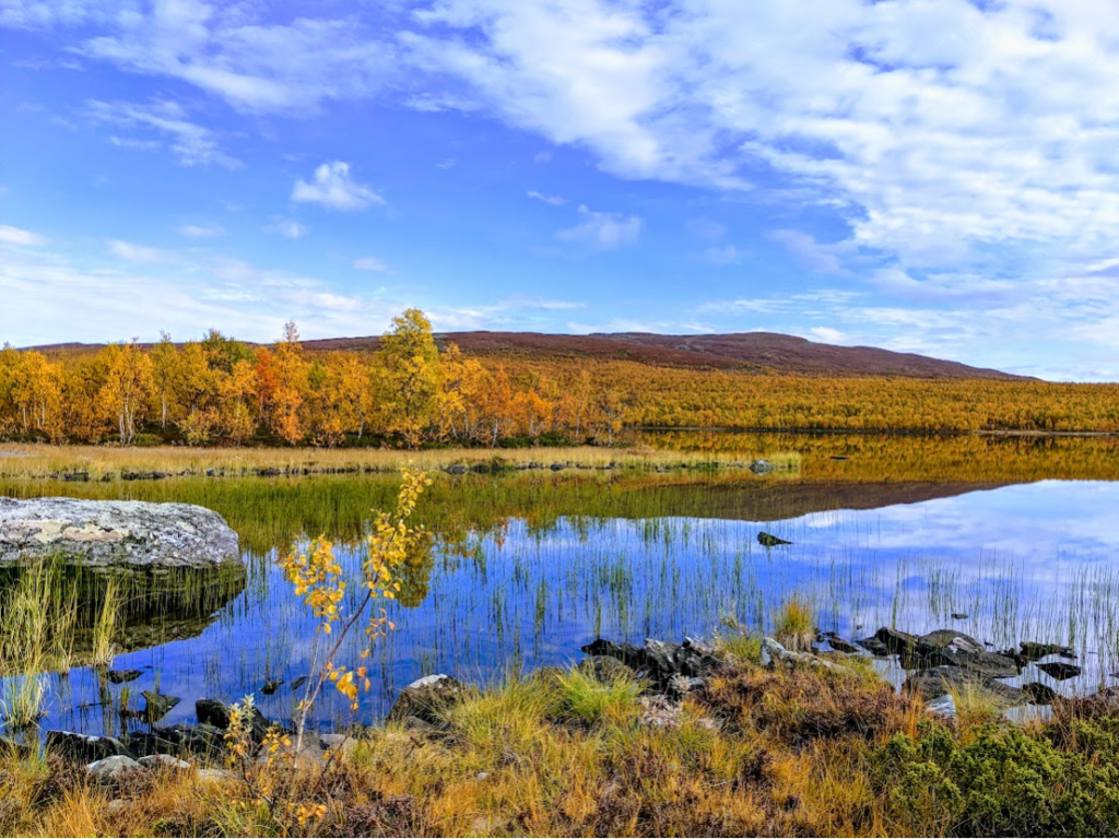 North of Vuonatjvikens near the Arctic Circle — Photo courtesy of Charlotte Gore