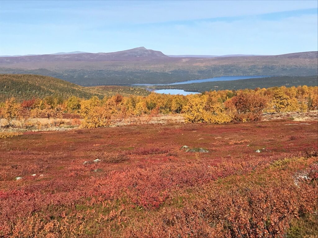 Fall colors along the Kungsleden trail — Photo by author.