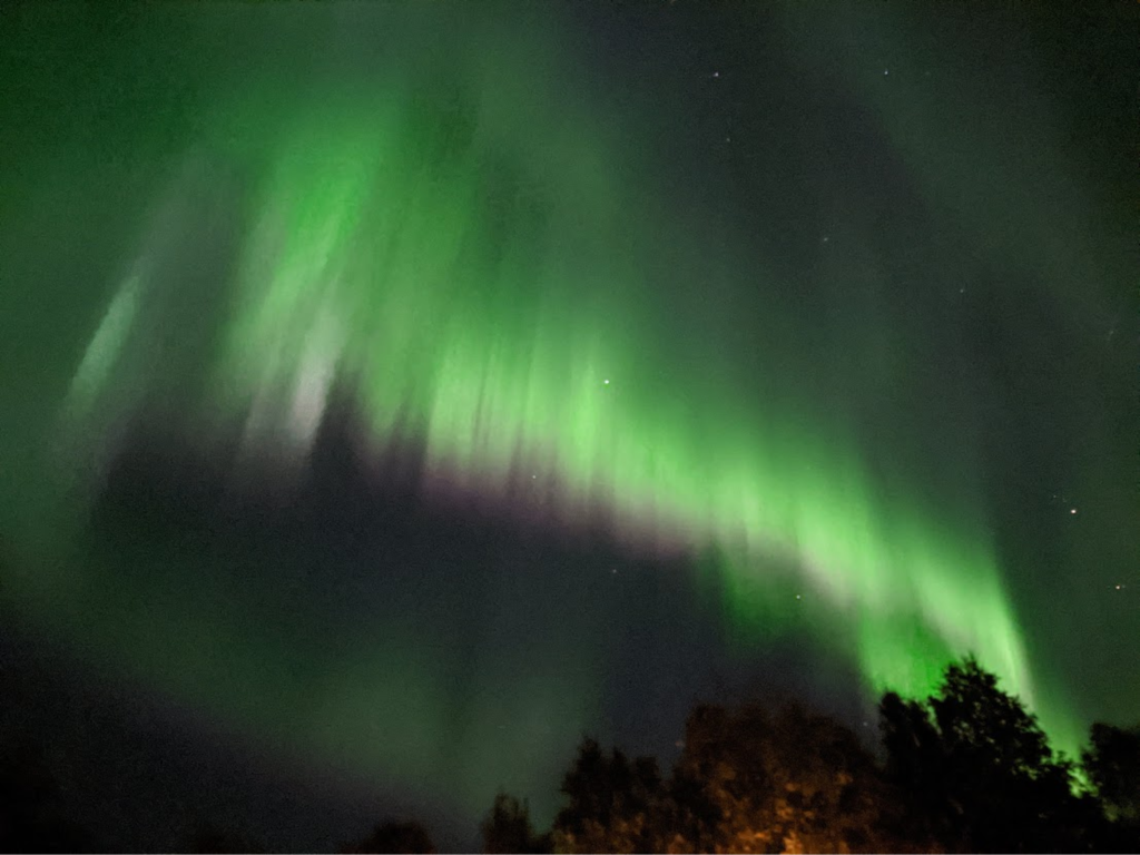 The Northern Lights outside Ammarnäs — Photo courtesy of Charlotte Gore.